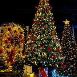 ต้นคริสต์มาสปลอมให้เช่าตกแต่ง