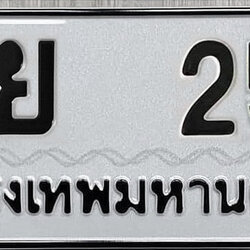 ทะเบียนสวย 25 ขายทะเบียน 25 ฎย 25 (ผลรวม 20)