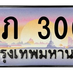 ทะเบียนสวย 3003 ขายทะเบียน 3003 1ขภ 3003