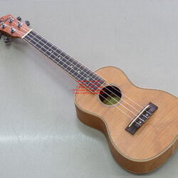 อคูเลเล่ UKULELE ยี่ห้อ Century ของใหม่ ขนาด Concert รุ่น S-248 สีไม้ด้าน สวย เสียงดี ขายถูก
