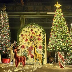 ความสนใจในรูปแบบของต้นคริสต์มาสปลอม