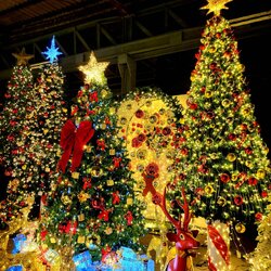 ต้นคริสต์มาสสวยๆในเดือนธันวาคม