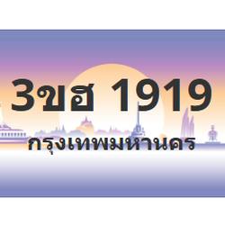 ทะเบียนสวย 1919 ขายทะเบียน 1919 3ขฮ 1919
