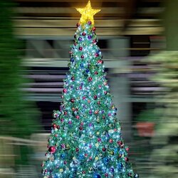 ต้นคริสต์มาสปลอมยอดนิยม สินค้าจัดแต่งงานคริสต์มาส"เช่า"