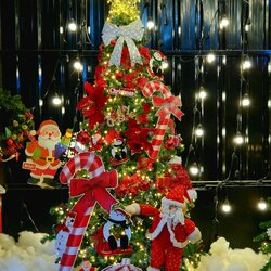 กรุงเทพมหานครสำหรับร้านให้เช่าต้นคริสต์มาส