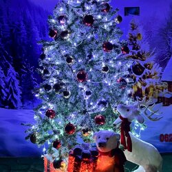 ให้เช่าต้นคริสต์มาสปลอมและของตกแต่ง