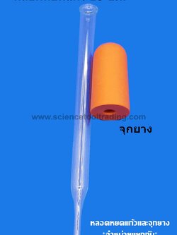 หลอดหยดแก้ว 10 ซม. (ไม่รวมจุกยาง จำหน่ายแยก)