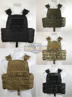 เวส NCPC (NCPC plate carrier)
