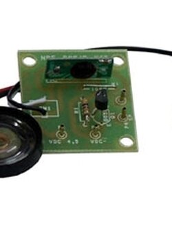 NPE Kit IC เสียงแกะ PK-4021 ลงปริ้นท์