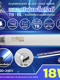 ยกลัง 25หลอด หลอด ไฟแบล็คไลท์ 18W ยาว60Cm
