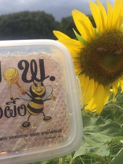 รังผึ้งสด แท้ ขนเพชรฟาร์ม สดสะอาดรับประทานได้ทันที