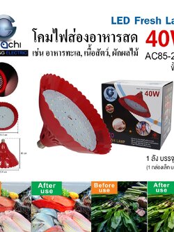 IWC-LED-FRESH-LAMP-40W-RGB โคมไฟส่องอาหารสด