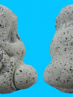 พระปิดตาหลวงพ่อเสงี่ยม