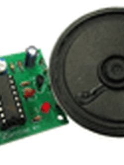 FUTUREKIT FK-1308 ปลุกด้วยแสงตะวัน (ไก่ขัน,แม่ไก่,นก) (ชุดคิทยังไม่ประกอบ)