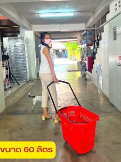 🧺ตะกร้าช้อปปิ้งมีที่จูง🧺ขนาด 60ลิตร ตะกร้ารถเข็น รถเข็นช้อปปิ้ง ตะกร้ามีล้อ ตะกร้าพลาสติกใส่ของ