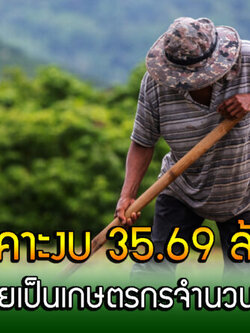 ครม.เคาะงบ 35.69 ล้านบาท กลุ่มเป้าหมายเป็นเกษตรกรจำนวน 4,250 ราย