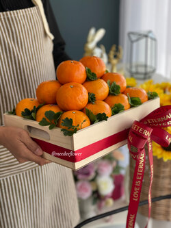 กระเช้าผลไม้delivery กระเช้าผลไม้แสดงความยินดี กระเช้าผลไม้เยี่ยมไข้ กระเช้าผลไม้ดอกไม้ กระเช้าผลไม้นอกนำเข้า กระเช้าผลไม้ premuim