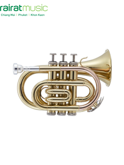 Trumpet Custom Mini Trumpet Lacquer Rose Brass ทรัมเป็ต by Churairat Music