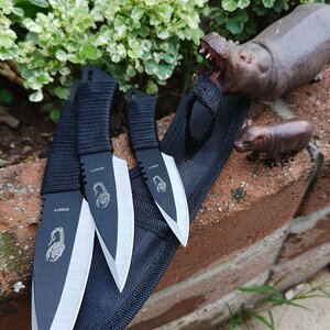 มีดขว้าง มีดปา