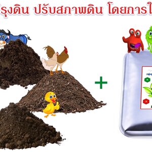 ปุ๋ยอินทรีย์ 080-3296882 จำหน่ายปุ๋ยคอก ขี้วัวนม ปุ๋ยขี้หมู ขี้ไก่ล้วน ขี้ไก่แกลบ มูลวัว จัดส่งทั่วประเทศ
