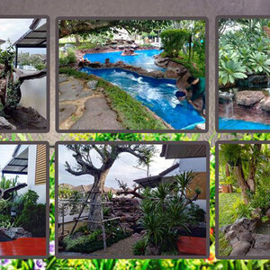 บ่อปลาคราฟในบ้าน โทร 088-9958407 ทำบ่อปลาคาร์ฟ รับทำน้ำพุ รับทำบ่อปลา ม่านน้ำตก ทำน้ำตก