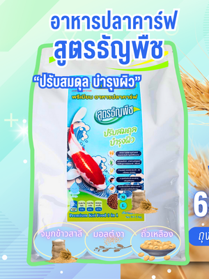 อาหารปลาคาร์ฟ สูตรธัญพืช Poomcarpfish เพื่อให้ปลามีสุขภาพดี ไม่นอนก้นบ่อ ให้ผิวกระจ่าง โปรตีน32%