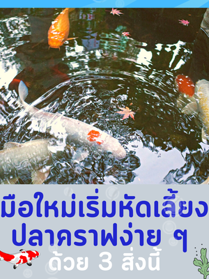มือใหม่เริ่มหัดเลี้ยงปลาคราฟ ง่าย ๆ ด้วย 3 สิ่งนี้
