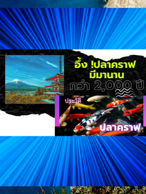 อึ้ง !! ปลาคราฟมีมานานกว่า 2,000 ปี ความเป็นมาปลาคราฟ/ปลาคาร์ฟ ปลาแฟนซีคาร์ป หรือ ปลาไน