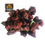 เรซิ่น เม็ดต้นเลือดมังกร Dragon Blood Resin / Gum / Tear 250g แท้ 100% จากเกาะโซคราต้า ประเทศเยเมน