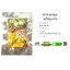 Bael Fruit Tea - Abhaiherb
