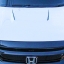 HOOD TYPE X FOR CIVIC FC RAW WORK (NKS DESIGN)