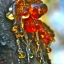 อำพันบอลติกแท้ 100% Baltic Amber Resin จากประเทศลิทัวเนีย อโรมาเธอราพี สุคนธบำบัด สีเหลืองทอง กลิ่นต้นสนธรรมชาติ ช่วยฟื้นฟูสภาพผิวและลดริ้วรอย ใช้เป็นเครื่องประดับ - 50g
